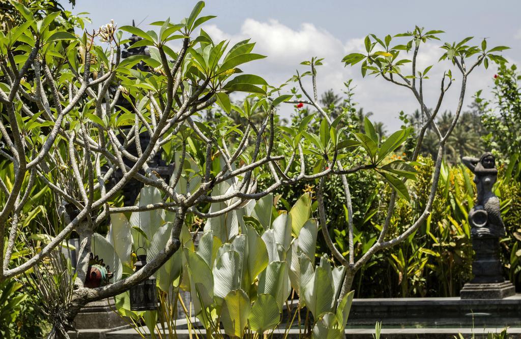 Vila Graha Rusni Ubud Pokoj fotografie