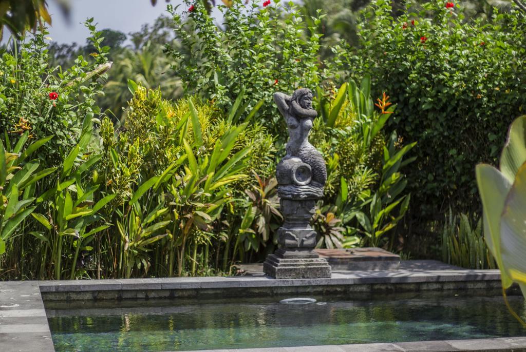 Vila Graha Rusni Ubud Pokoj fotografie